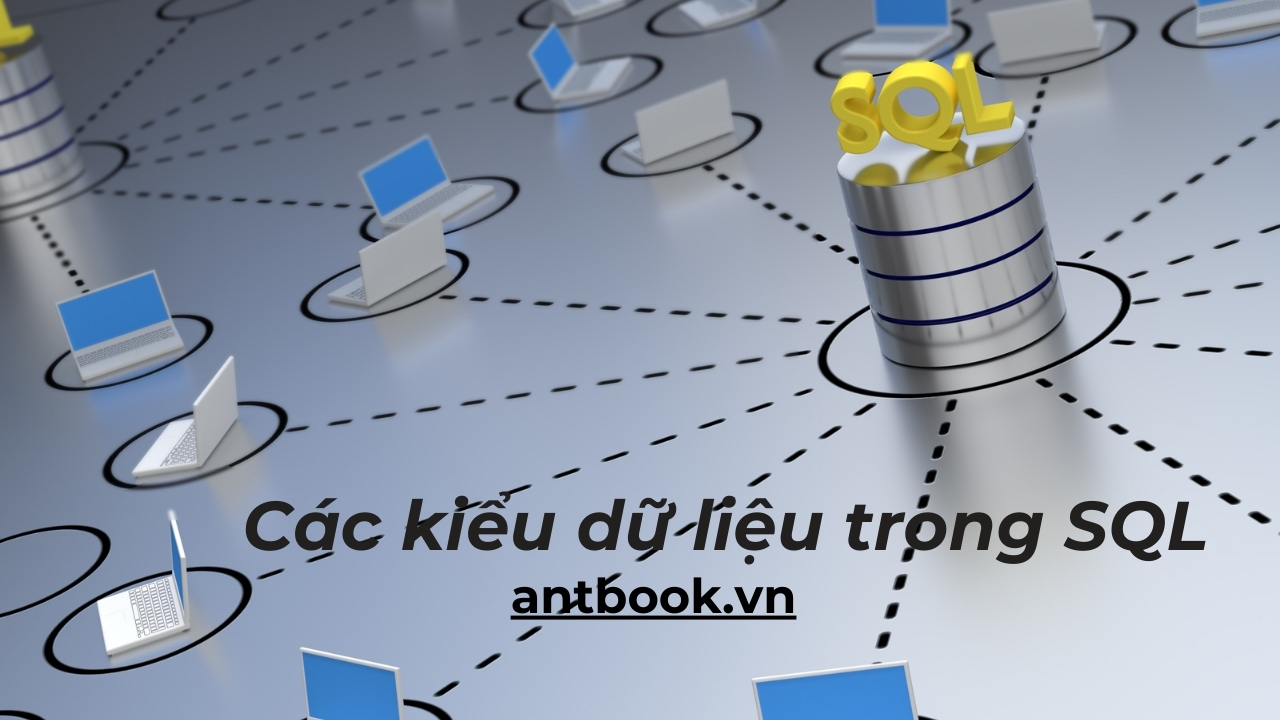 Cac Kieu Du Lieu Trong Sql
