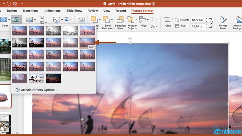 Cách làm mờ ảnh trong Powerpoint