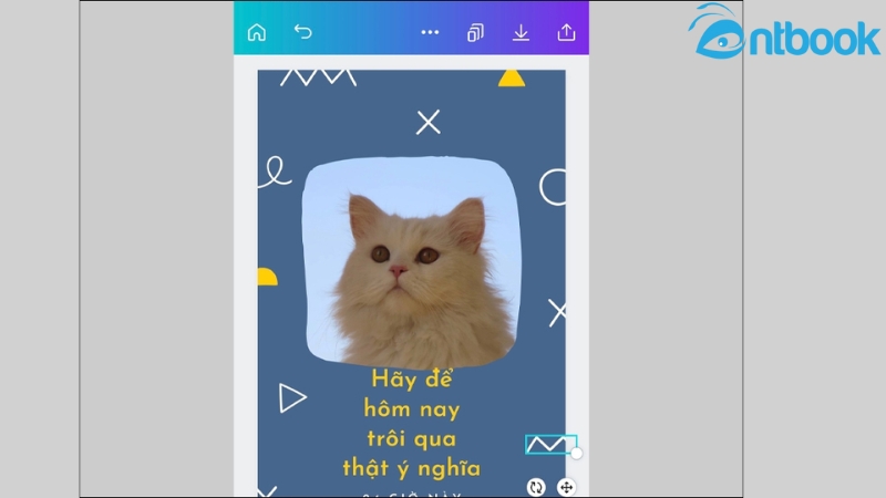 cách cắt ảnh trên canva
