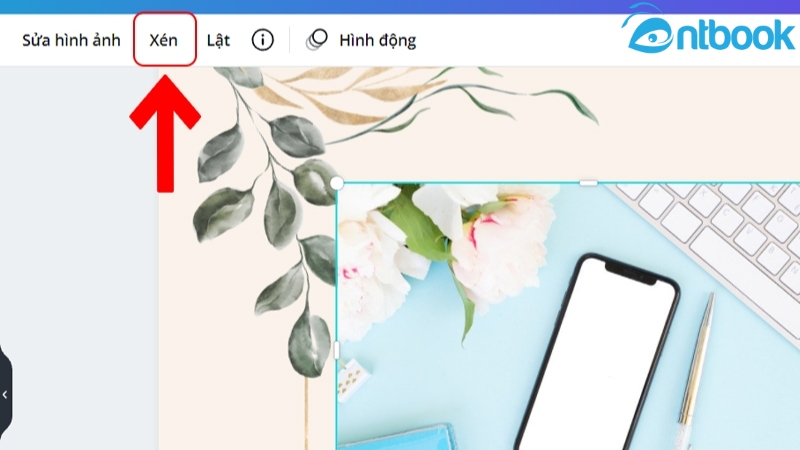 cách cắt ảnh trên canva