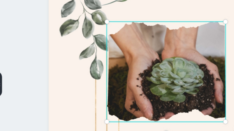 cách cắt ảnh trên canva