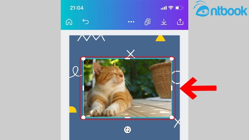cách cắt ảnh trên canva