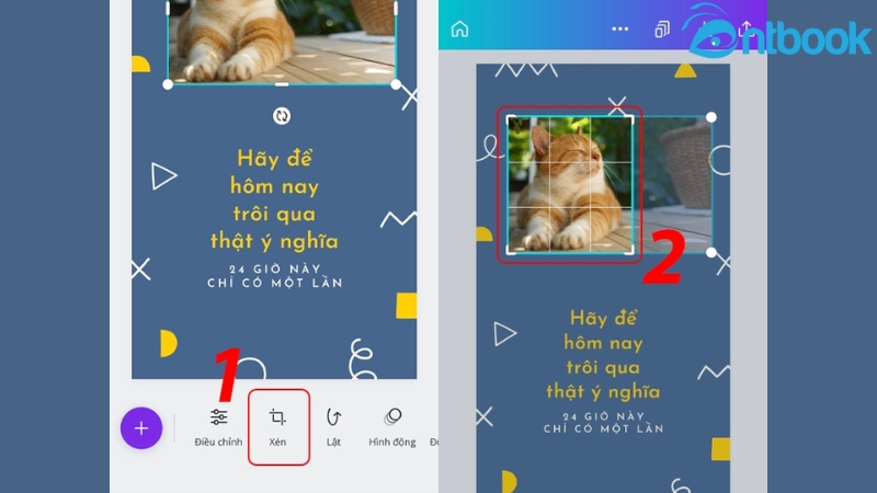 cách cắt ảnh trên canva