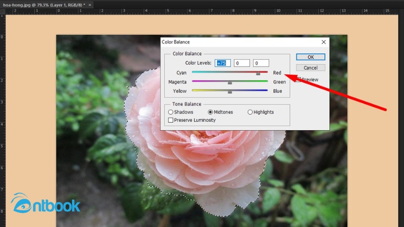 Cách đổi màu trong Photoshop