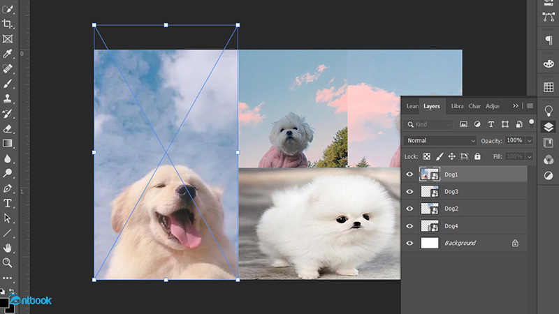 cách ghép ảnh trong Photoshop