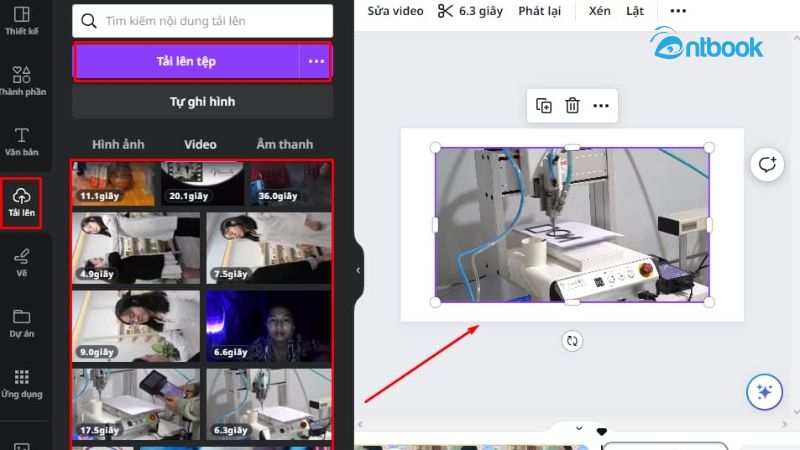cách làm video trên Canva