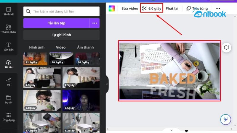 cách làm video trên Canva