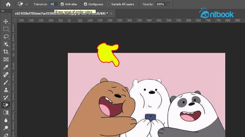 cách tách nền trong Photoshop