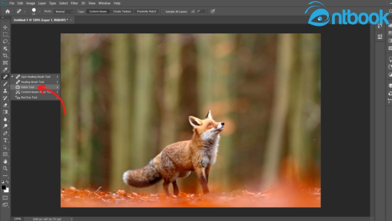 Cách xóa vật thể trong Photoshop