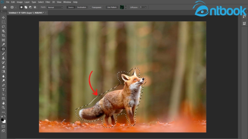 Cách xóa vật thể trong Photoshop