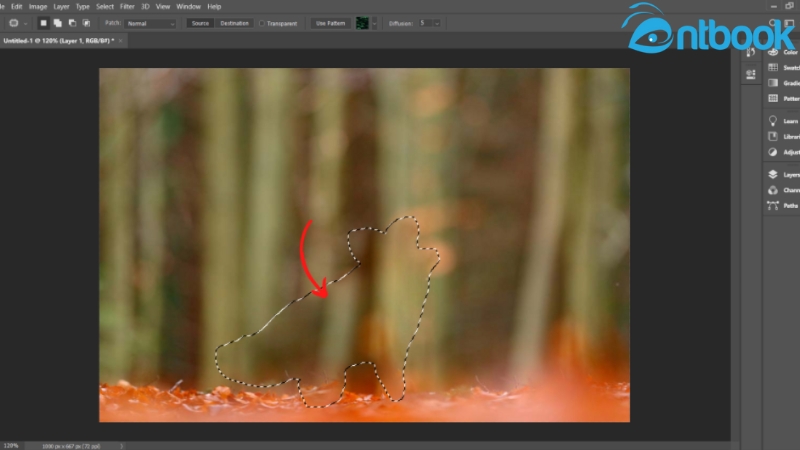 Cách xóa vật thể trong Photoshop
