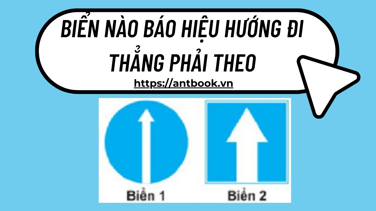 Biển nào báo hiệu hướng đi thẳng phải theo