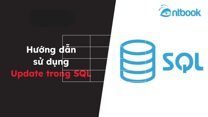 các câu lệnh SQL