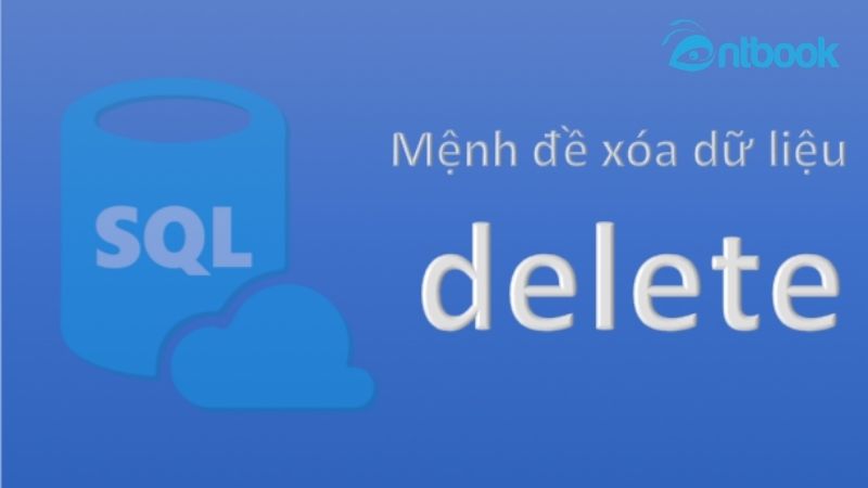 các câu lệnh SQL