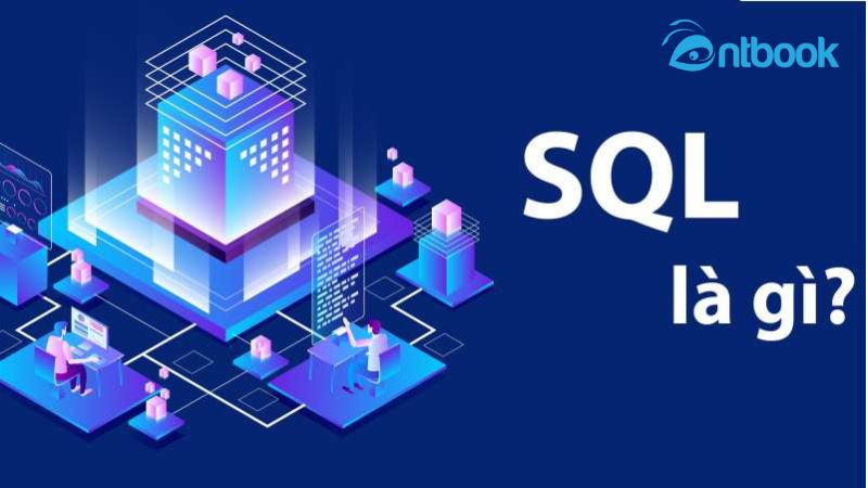 các câu lệnh SQL