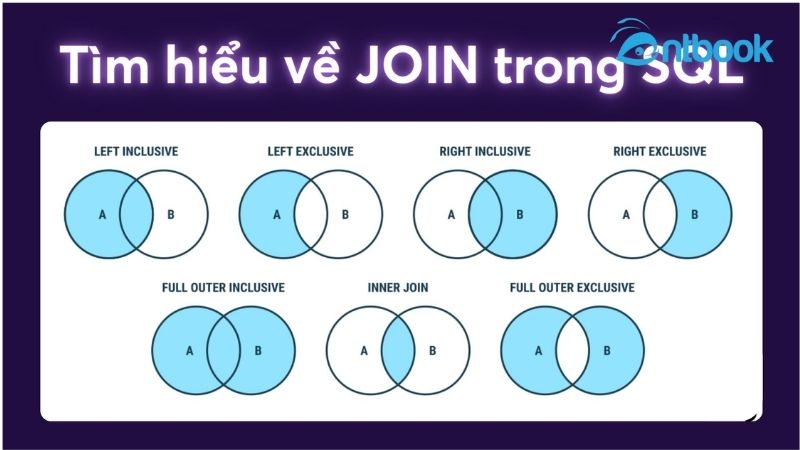 các câu lệnh SQL