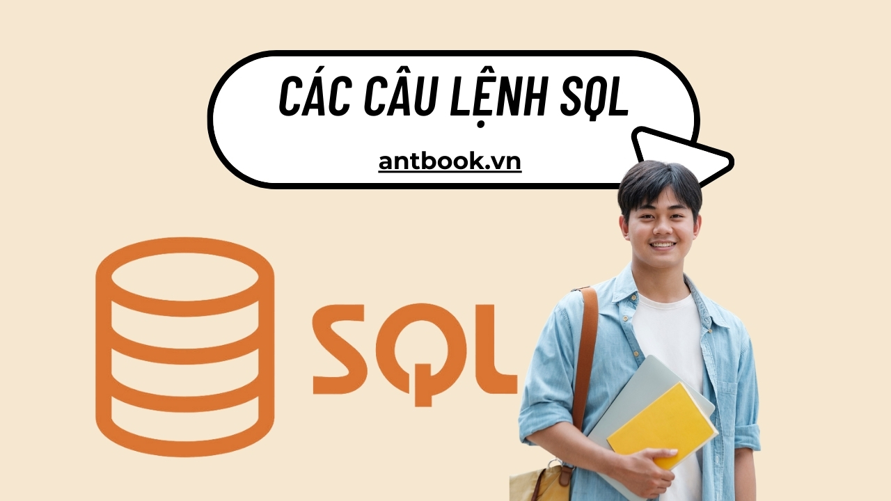T ng h p c c c u l nh sql c b n d nh cho ng i m i h c