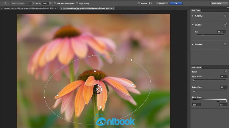 Cách đổi màu Background trong Photoshop