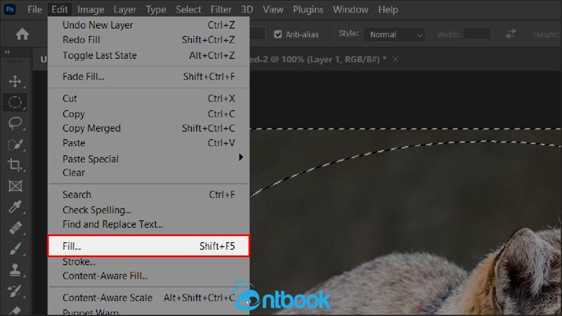 Cách làm mờ viền ảnh trong Photoshop