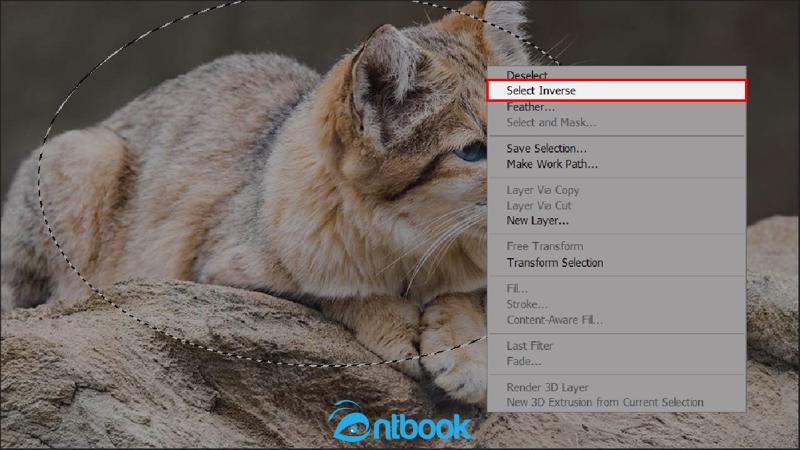 Cách làm mờ viền ảnh trong Photoshop