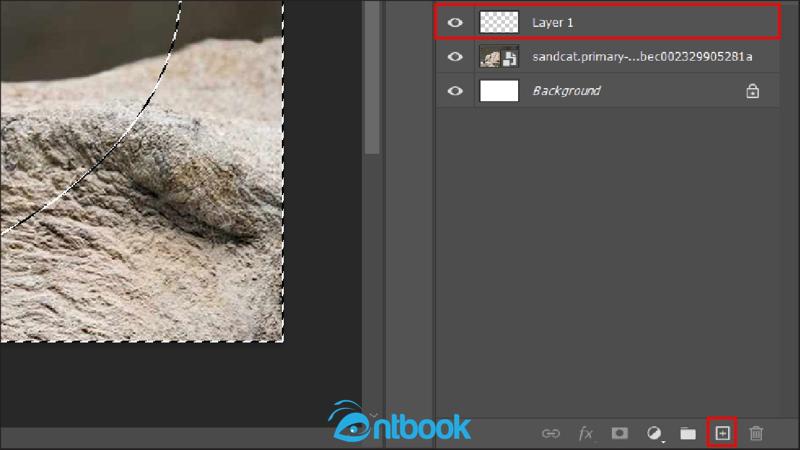 Cách làm mờ viền ảnh trong Photoshop
