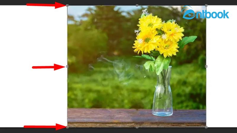 cách mở rộng ảnh trong Photoshop
