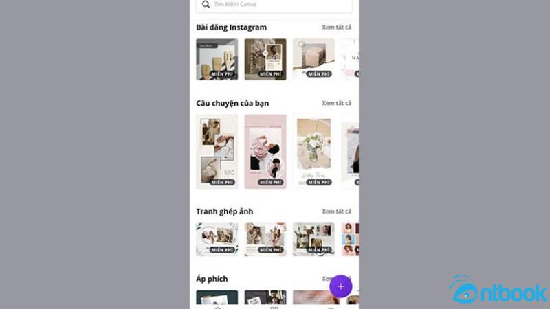 Cách sử dụng Canva trên điện thoại