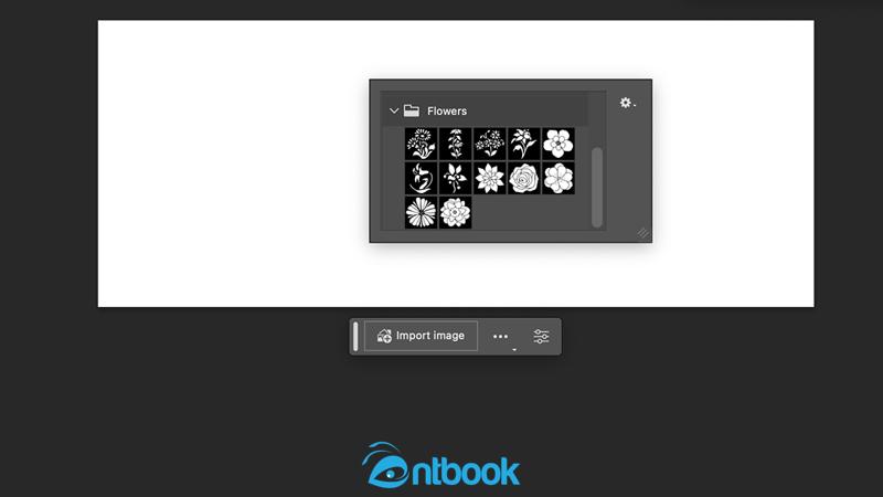 Cách tạo Shape trong Photoshop