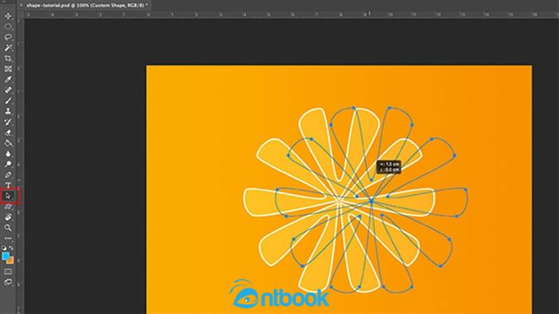 Cách tạo Shape trong Photoshop