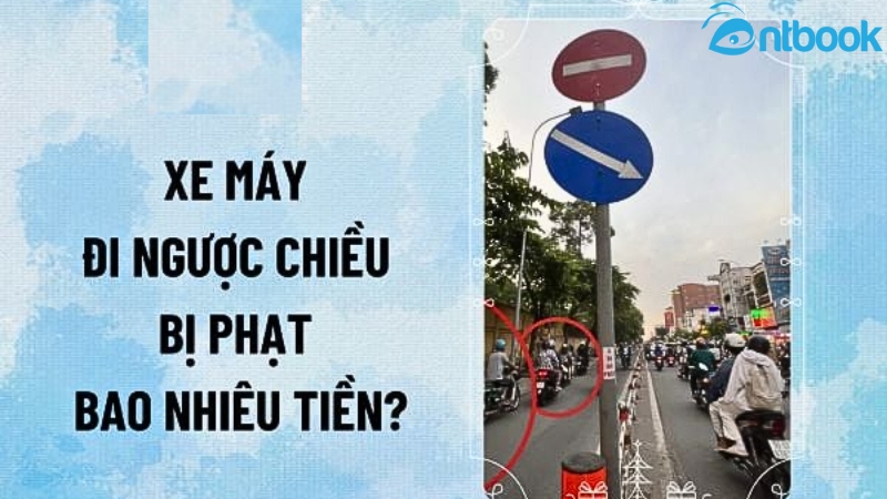 Đi ngược chiều phạt bao nhiêu tiền