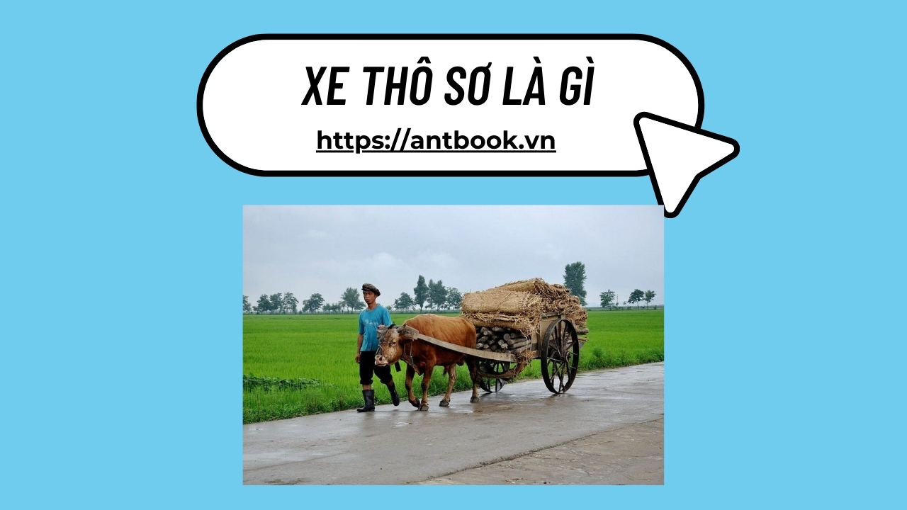 xe thô sơ là gì