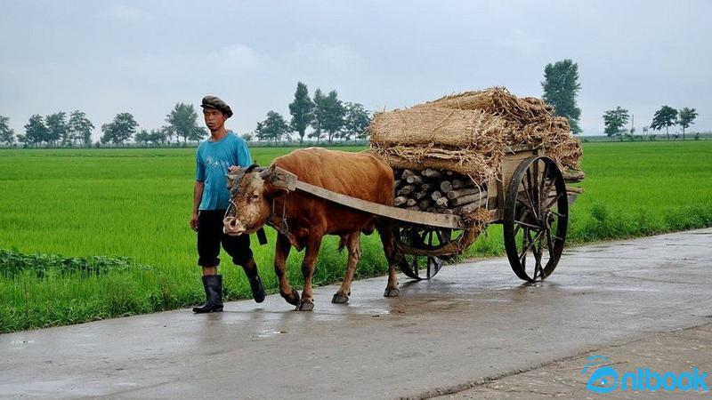 Phương tiện giao thông thô sơ